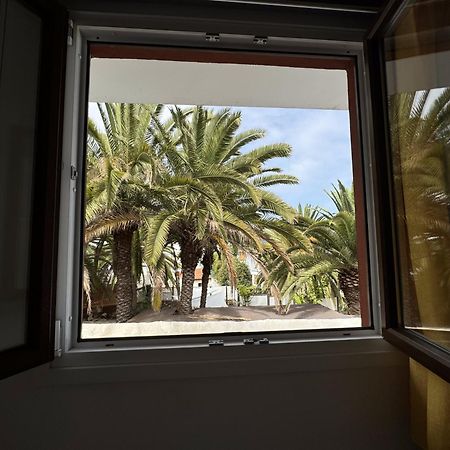 Phoenix Canariensis San Juan de la Rambla Dış mekan fotoğraf