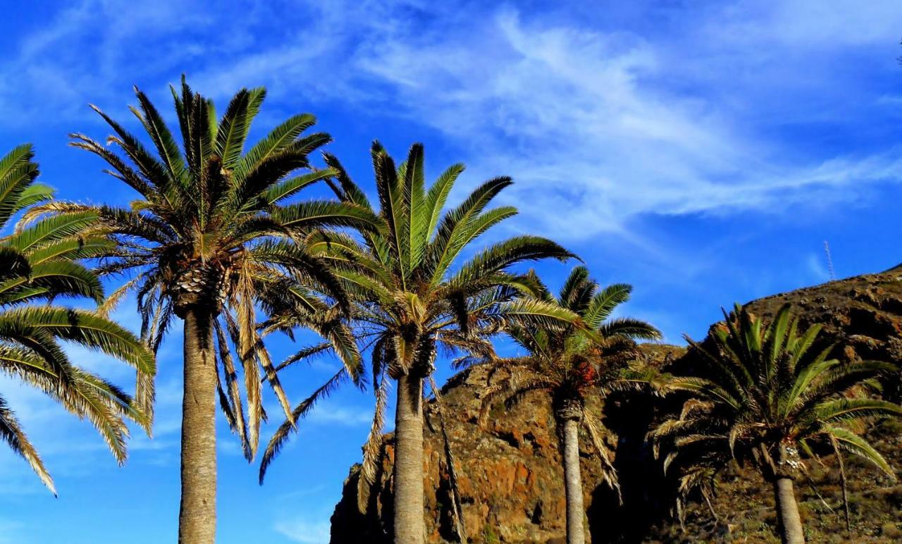 Phoenix Canariensis San Juan de la Rambla Dış mekan fotoğraf